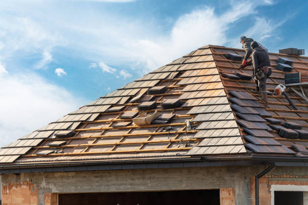 Best Steel Roofing  in El Dorado, AR